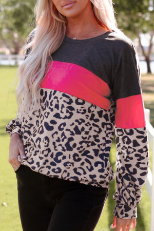 Leopard Print Color Block Long-Sleeve Top-Mope's Closet