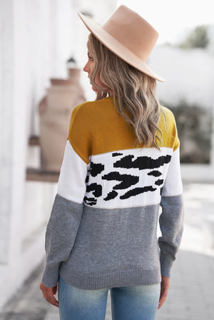 Leopard Color Block Ribbed Trim Dropped Shoulder Sweater-Mope's Closet